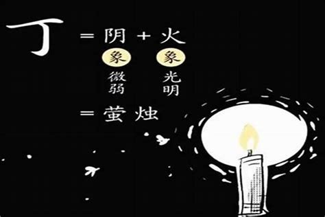 丁火女性格|【天干丁】瞭解天干秘辛！剖析「丁火」的性格與運勢。